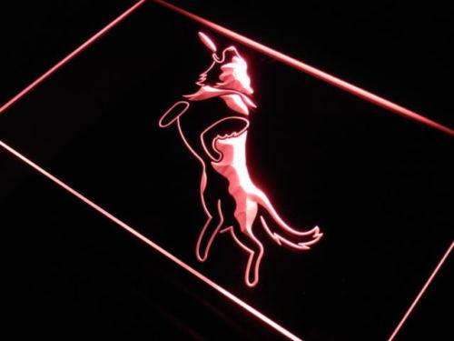 Frisbee Dog LED Light Sign - Way Up Gifts