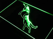 Frisbee Dog LED Light Sign - LED Gift Works