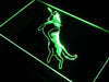 Frisbee Dog LED Light Sign - Way Up Gifts