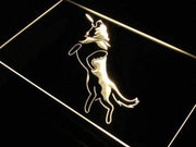 Frisbee Dog LED Light Sign - LED Gift Works