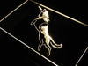 Frisbee Dog LED Light Sign - Way Up Gifts