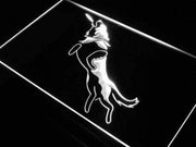 Frisbee Dog LED Light Sign - LED Gift Works