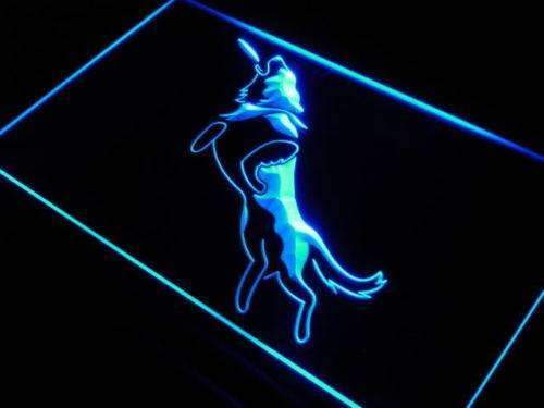 Frisbee Dog LED Light Sign - LED Gift Works