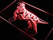 Gordon Setter Dog LED Light Sign - LED Gift Works