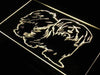 Havanese Dog LED Light Sign - Way Up Gifts