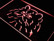 Himalayan Cat LED Light Sign - LED Gift Works