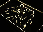 Himalayan Cat LED Light Sign - LED Gift Works
