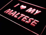 I Love My Maltese LED Light Sign - LED Gift Works
