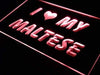 I Love My Maltese LED Light Sign - Way Up Gifts