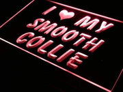 I Love My Smooth Collie Dog LED Light Sign - LED Gift Works