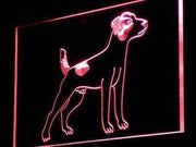 Jack Russell Terrier Dog LED Light Sign - LED Gift Works