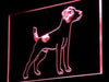 Jack Russell Terrier Dog LED Light Sign - Way Up Gifts