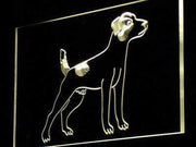Jack Russell Terrier Dog LED Light Sign - LED Gift Works