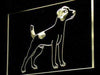 Jack Russell Terrier Dog LED Light Sign - Way Up Gifts