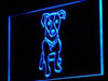 Jack Russell Terrier LED Light Sign - Way Up Gifts