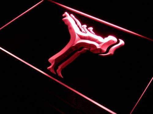 Karate Classes LED Light Sign - LED Gift Works