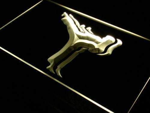 Karate Classes LED Light Sign - LED Gift Works