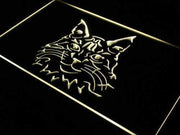 Maine Coon Cat LED Light Sign - LED Gift Works