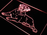 Mastiff Dog LED Light Sign - LED Gift Works