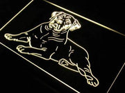 Mastiff Dog LED Light Sign - LED Gift Works