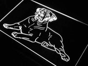 Mastiff Dog LED Light Sign - LED Gift Works