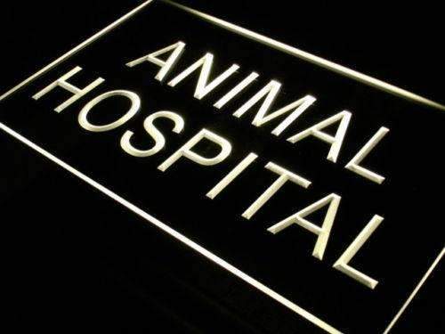 Pet Animal Hospital LED Light Sign - Way Up Gifts