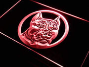 Pit Bull LED Light Sign - LED Gift Works