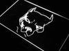Pit Bull Terrier Head LED Light Sign - Way Up Gifts