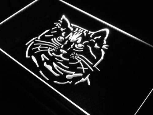 Pixie Bob Cat LED Light Sign - Way Up Gifts