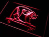 Puma Panther LED Light Sign - Way Up Gifts