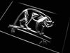 Puma Panther LED Light Sign - Way Up Gifts