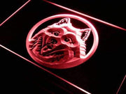 Samoyed Dog LED Light Sign - LED Gift Works