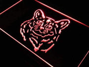 Somali Cat LED Light Sign - LED Gift Works