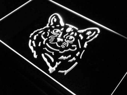Somali Cat LED Light Sign - Way Up Gifts